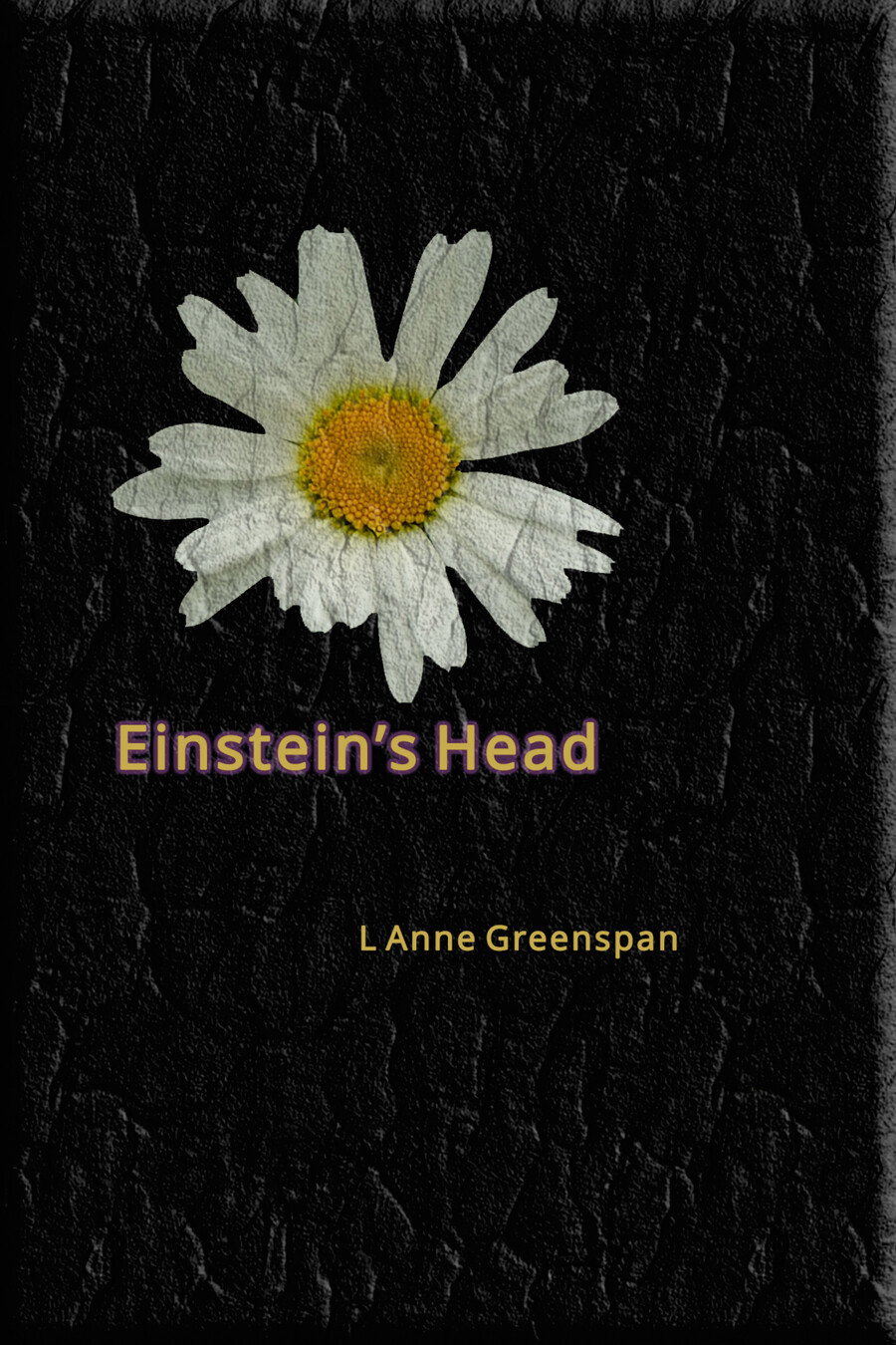 Cover of Einstein's Head